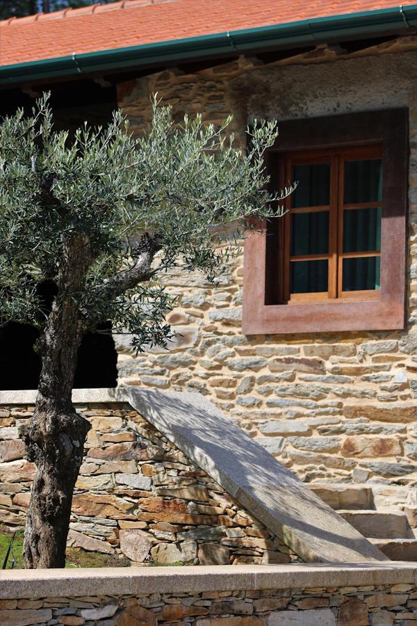 Bed and Breakfast O Casario Mirandela Esterno foto