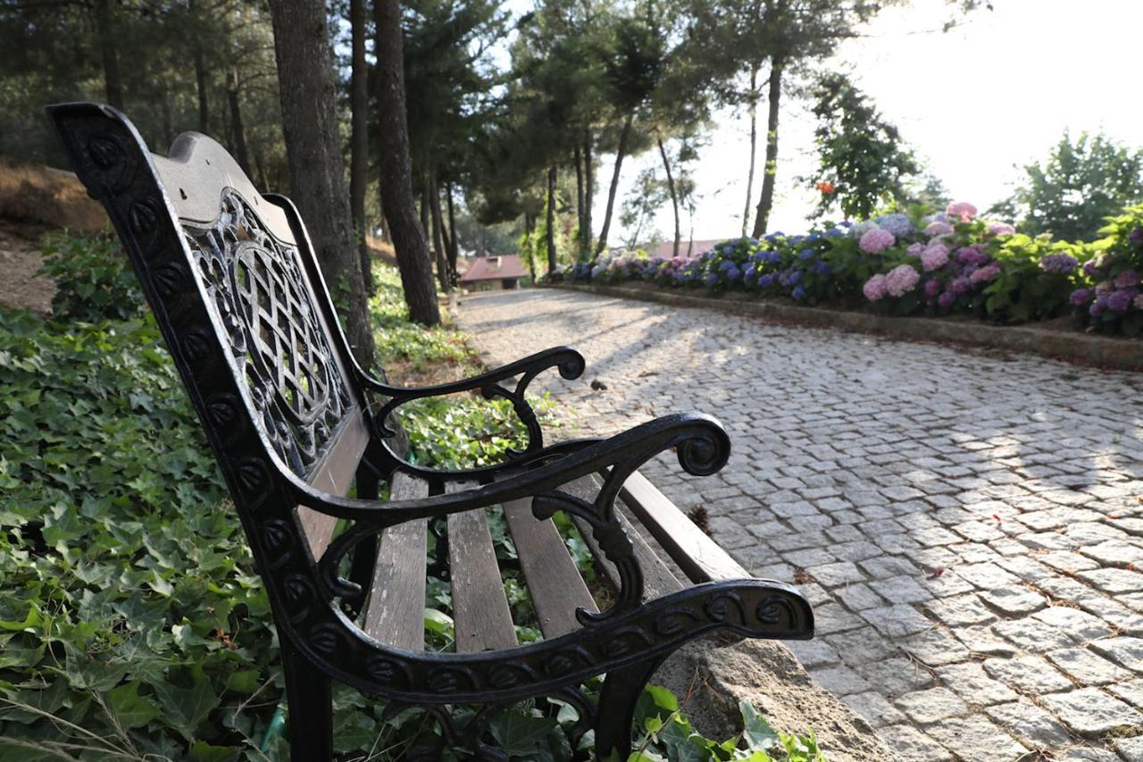 Bed and Breakfast O Casario Mirandela Esterno foto